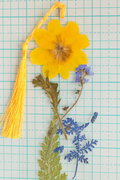  Yellow Flower Bookmark with Bow Charm | Pressed Flower Bookmarks with blue