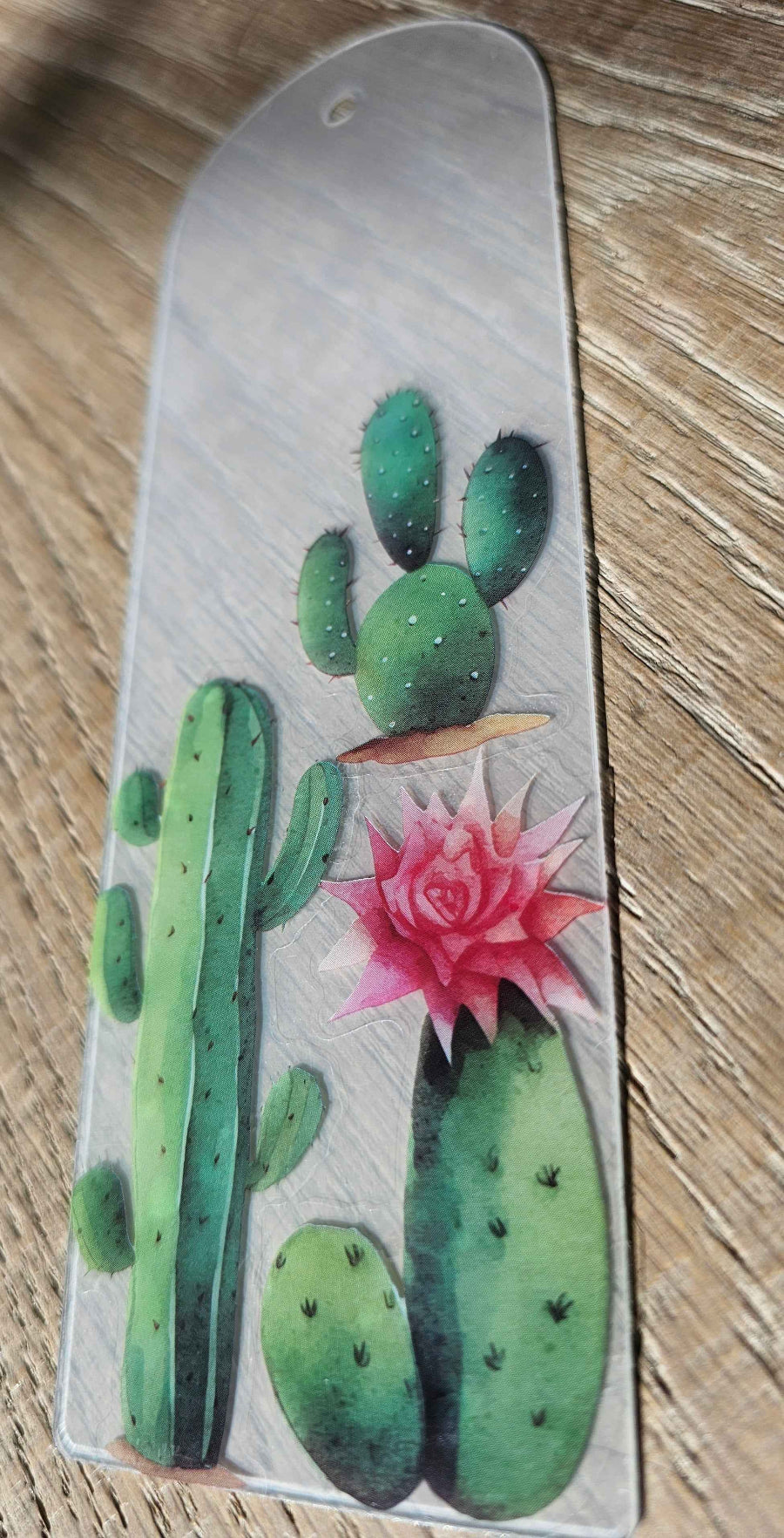 Desert Bloom Cactus cactus with pink flower acrylic bookmark