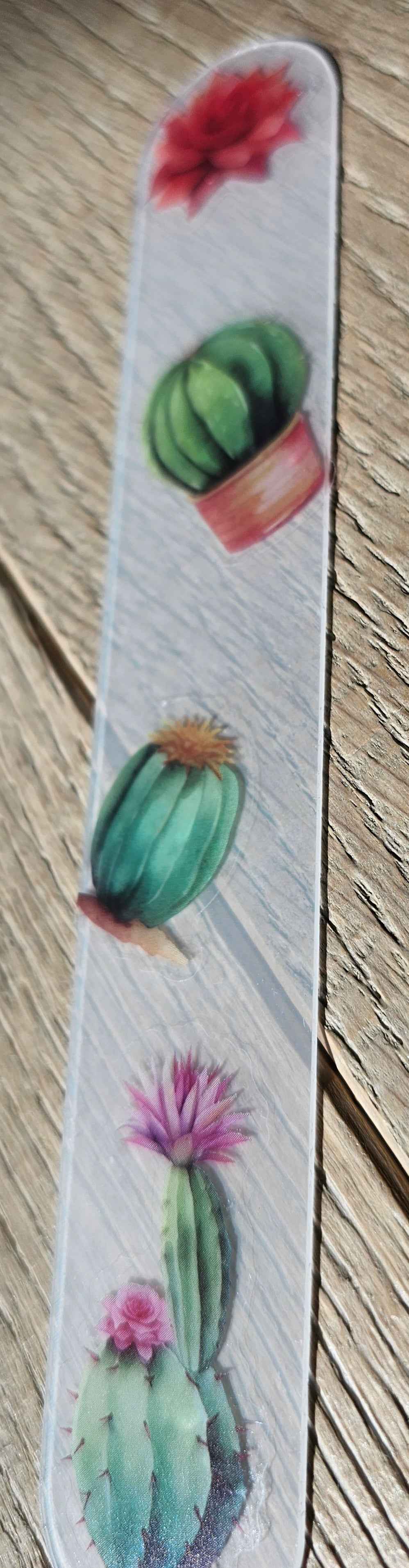 cactus with pink flower acrylic bookmark With Purple Flowers